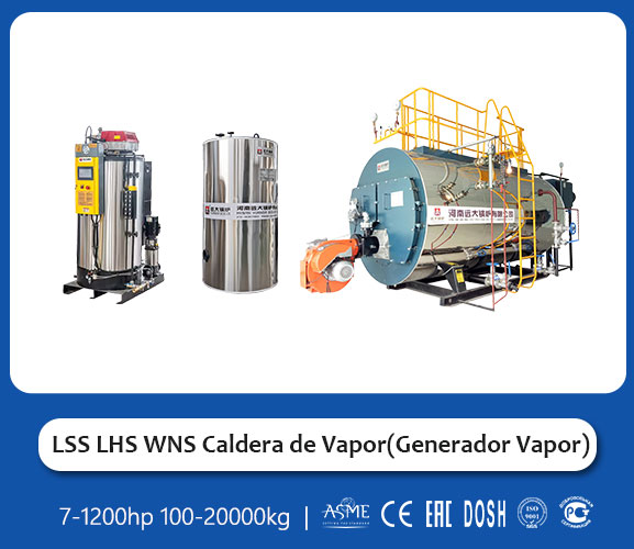Caldera Generador Vapor 100hp 80hp 50hp 30hp 20hp 10hp Gas LP Diesel