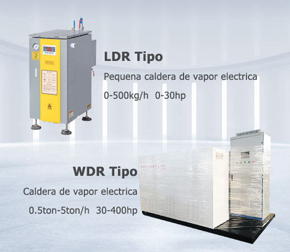 Caldera Eléctrica de Vapor Agua WDR