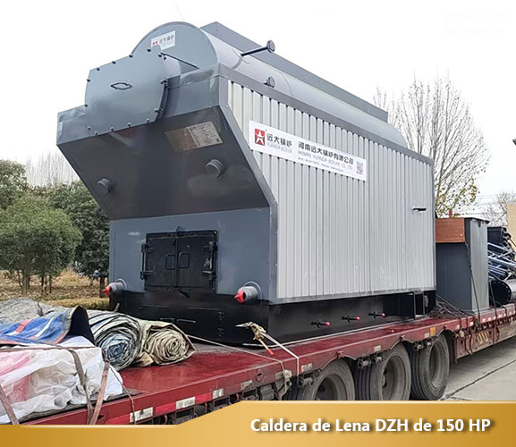 Caldera de Biomasa Madera DZH Manual