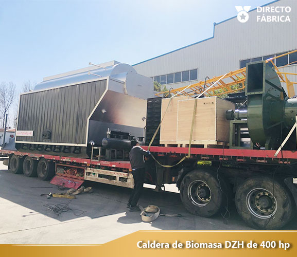 Caldera de Biomasa Madera DZH Manual