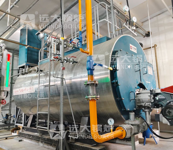 Vapor Caldera 4000 kg de Gas Para Pasteurizacion de Productos Lacteos