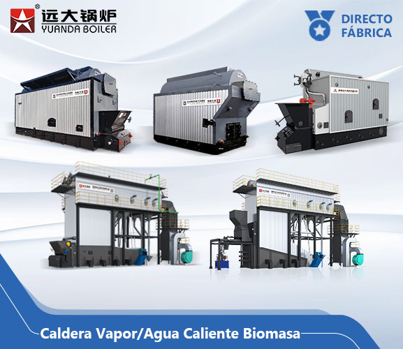 Caldera de Biomasa Industrial