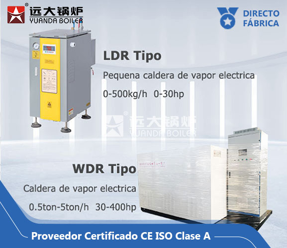 Caldera El&eacute;ctrica de Vapor Agua WDR