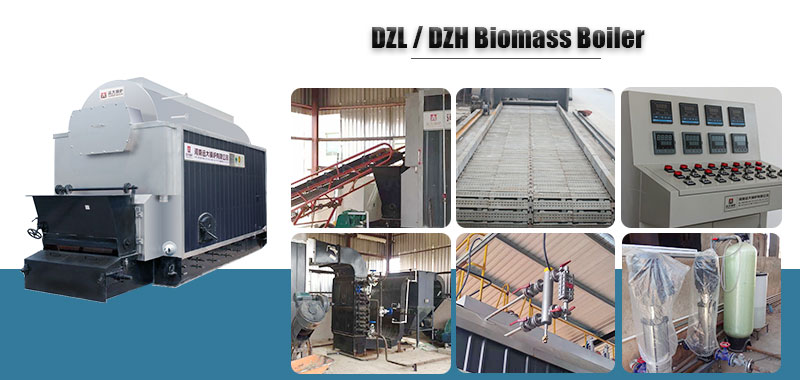 Caldera de Agua Caliente de wood biomass DZL.jpg