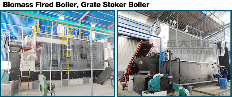 biomass-boiler,-chain-grate-boiler,-reciprocating-boiler.jpg