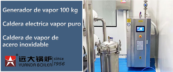 1715138376433012.jpg Generador-de-Vapor-Electrico-en-Acero-Inoxidable-de-100-Kilogramos.jpg