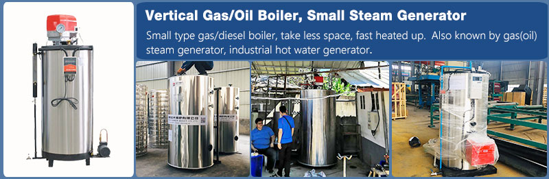 lhs-vertial-oil-gas-boiler.jpg