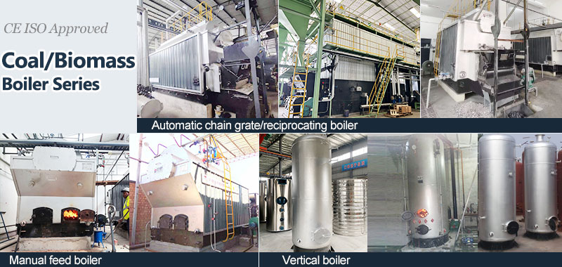 coal-biomass-wood-boiler-series.jpg