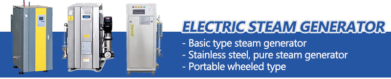 generador de vapor eléctrico