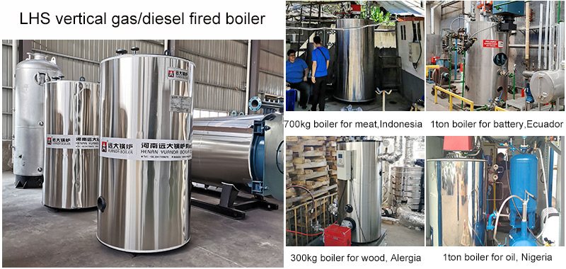 vertical gas steam boiler, vertical diesel steam boiler, gas steam generator.jpg