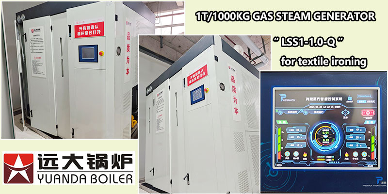 1000kg pequenas calderas de vapor, Generador de vapor a gas GLP