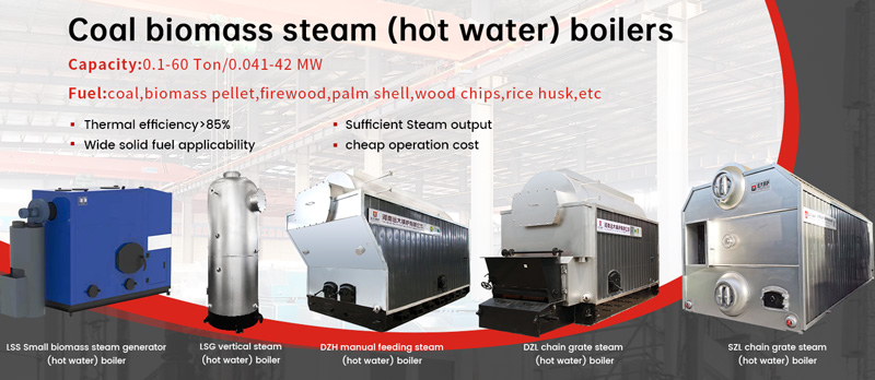 coal biomss wood fired steam boiler and hot water boiler.jpg