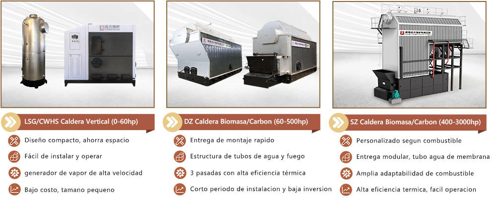 2-caldera-de-vapor-para-biomasa-mandara-lena-pinea.jpg