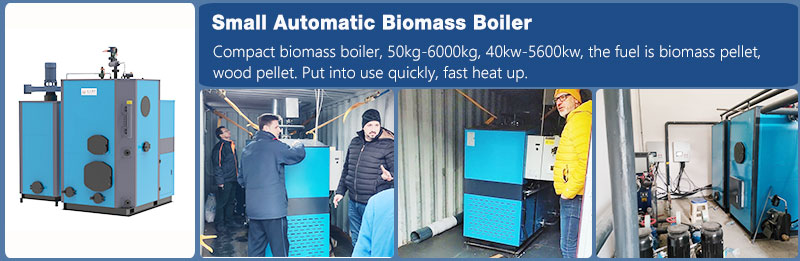 small automatic biomass boiler small automatic biomass boiler