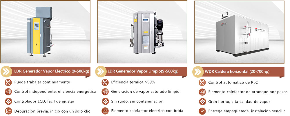 3-caldera-generador-vapor-para-electrico.jpg