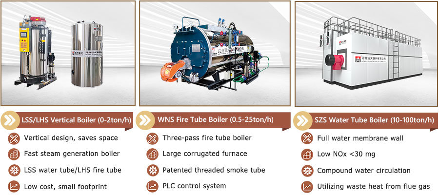 900-steam-boiler-fuel-with-gas-diesel-lpg-biogas.jpg