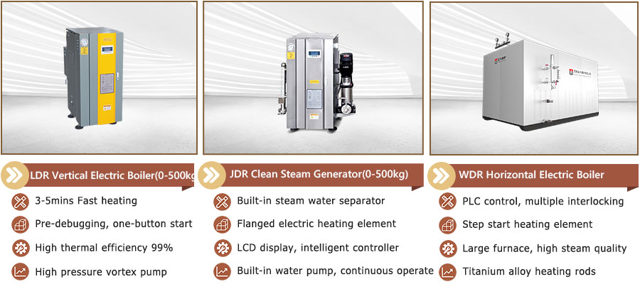 900-steam-boiler-fuel-with-electricity.jpg