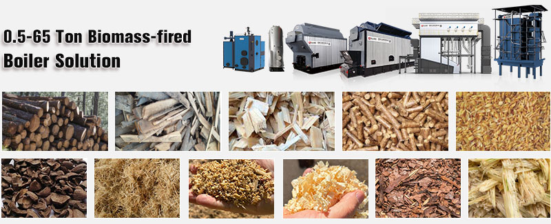 1770882932678078.jpg biomass-based-boiler.jpg