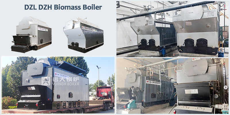 1770883379349436.jpg DZH-DZL-BIOMASS-BOILER.jpg