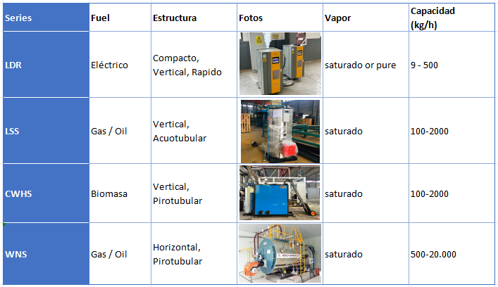costo generador de vapor.png