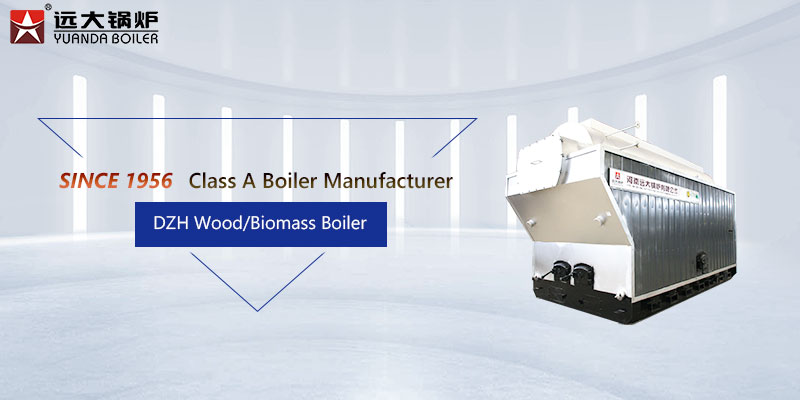 DZL-manual-type-wood-biomass-boiler.jpg