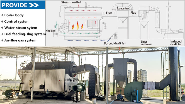 DZH-biomass-steam-boiler-system.jpg