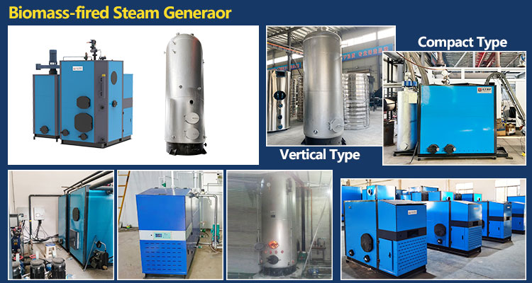 generador vapor biomasa lena wood, generador vapor industrial 3.jpg
