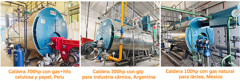 Caldera-vapor-700-hp-con-gas-bunker-para-la-industria-de-papel,-Caldera-vapor-100-hp-con-gas-GLP-para-pasteurización,-Caldera-vapor-300-hp(ASME)-para-la-industria-carnica-en-Argentina Caldera-vapor-700-hp-con-gas-bunker-para-la-industria-de-papel,-Caldera-vapor-100-hp-con-gas-GLP-para-pasteurización,-Caldera-vapor-300-hp(ASME)-para-la-industria-carnica-en-Argentina