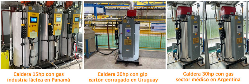 Caldera-de-vapor-a-gas-de-20-hp-para-la-industria-láctea-en-Panamá,-caldera-de-vapor-a-gas-de-30-hp-para-la-fabricación-de-cajas-de-cartón-corrugado-en-Uruguay,-caldera-de-vapor-a-gas-de-20-hp-para-el-sector-medico-en-Argentina Caldera-de-vapor-a-gas-de-20-hp-para-la-industria-láctea-en-Panamá,-caldera-de-vapor-a-gas-de-30-hp-para-la-fabricación-de-cajas-de-cartón-corrugado-en-Uruguay,-caldera-de-vapor-a-gas-de-20-hp-para-el-sector-medico-en-Argentina