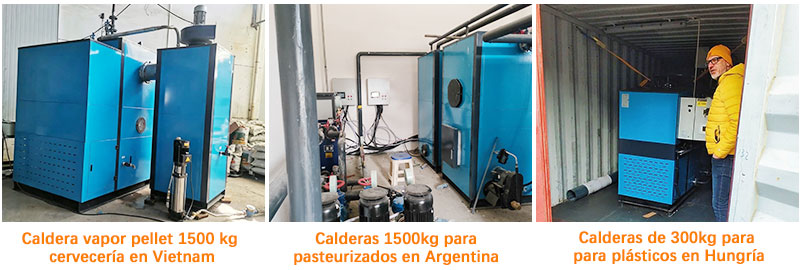 Caldera-de-pellets-de-500-kg-para-cervecería-en-Vietnam,-caldera-de-pellets-de-1000-kg-para-leche-pasteurizada-en-Argentina Caldera-de-pellets-de-500-kg-para-cervecería-en-Vietnam,-caldera-de-pellets-de-1000-kg-para-leche-pasteurizada-en-Argentina